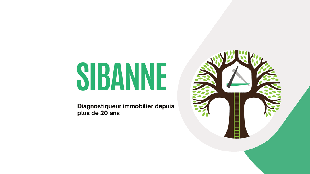 Project Sibane
